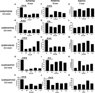 The ER Aminopeptidases, ERAP1 and ERAP2, synergize to self-modulate their respective activities